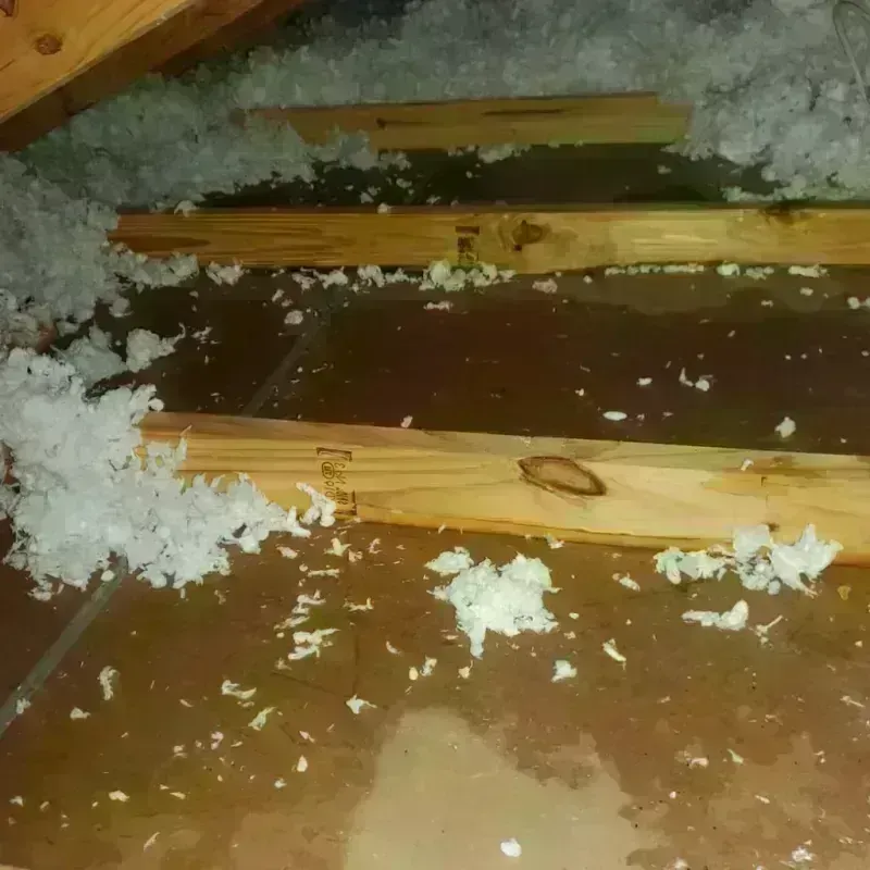 Attic Water Damage in Marianne, PA